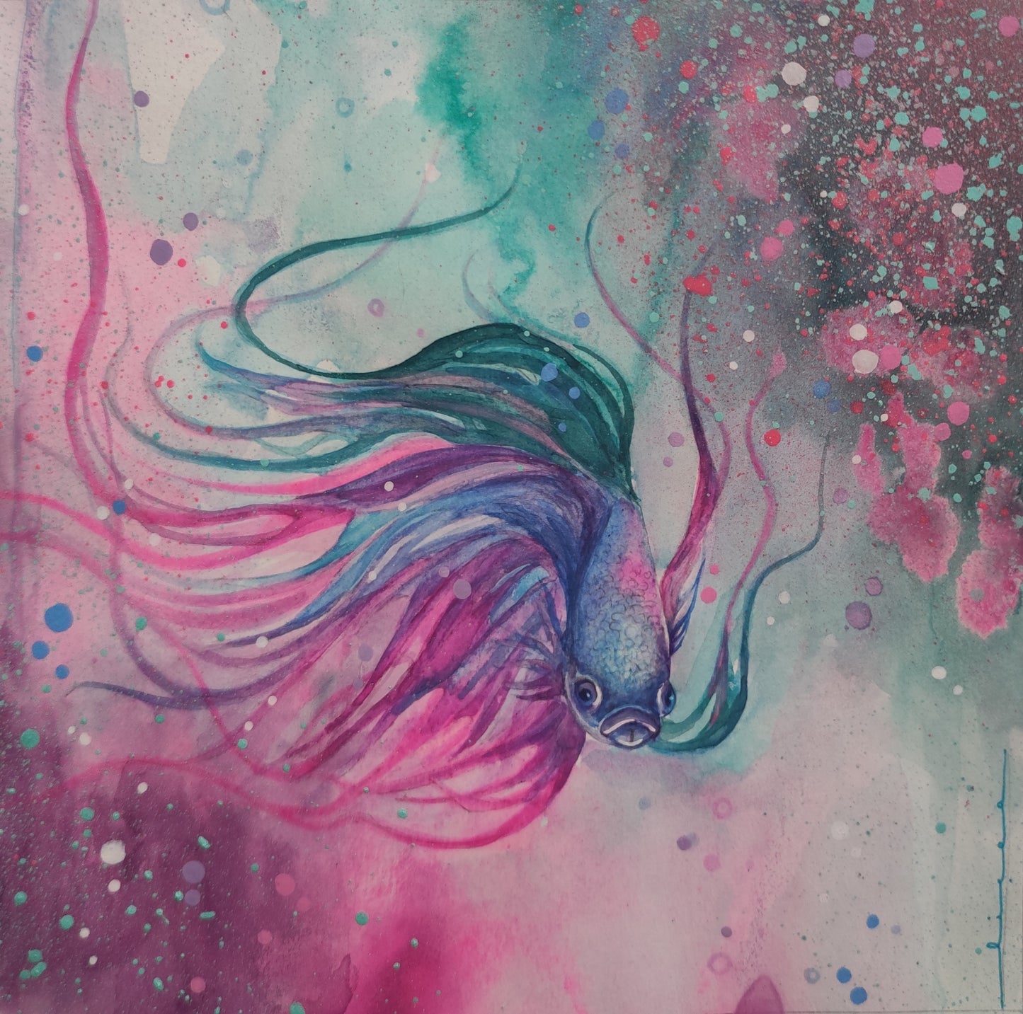 Chercheur d'étoiles